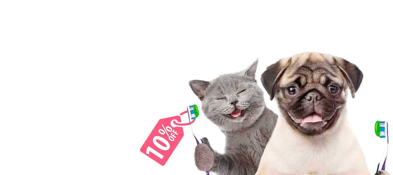 Best Family Pet Hospital in Aliana TX